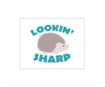 Lookin' Sharp Greeting Card