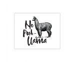 No Probllama Greeting Card