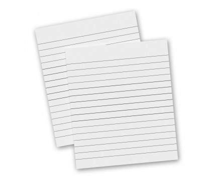 2 Pack - 4 x 4.75 Notepads