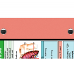 WhiteCoat Clipboard® - Coral Respiratory Edition