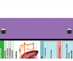 WhiteCoat Clipboard® - Lilac Respiratory Edition