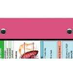 WhiteCoat Clipboard® - Pink Respiratory Edition