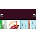 WhiteCoat Clipboard® - Wine Respiratory Edition