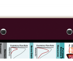 WhiteCoat Clipboard® Trifold - Wine Respiratory Therapy Edition