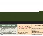 WhiteCoat Clipboard® Vertical - Army Green Primary Care Edition