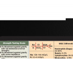 WhiteCoat Clipboard® Vertical - Primary Care Edition