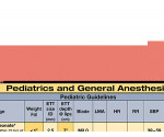 WhiteCoat Clipboard® Vertical - Coral Anesthesia Edition