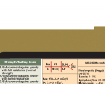 WhiteCoat Clipboard® Vertical - Tactical Brown Primary Care Edition