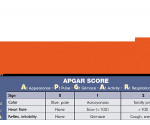 WhiteCoat Clipboard® - Vertical - Orange Pediatric Edition