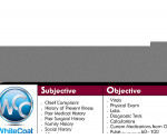 WhiteCoat Clipboard® Vertical - Silver Pharmacy Edition