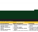 WhiteCoat Clipboard® Vertical - Green Physical Therapy Edition