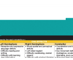 WhiteCoat Clipboard® Vertical - Teal Physical Therapy Edition