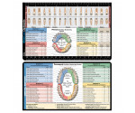 Dental Adhesive Reference Label