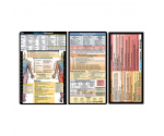 Physical Therapy Adhesive Reference Label