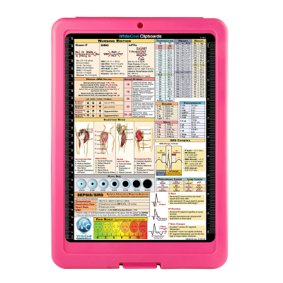 Flat Storage Nursing Clipboard 