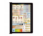 WhiteCoat Clipboard® - Right Folding Ledger - Nursing Edition 