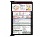  Folding Memo - WhiteCoat Clipboard® - Edición Médica