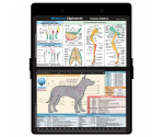 WhiteCoat Clipboard - Blackout Canine Edition