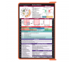WhiteCoat Clipboard® - Coral Medical Edition