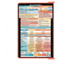 WhiteCoat Clipboard® - Coral Neonatal Edition