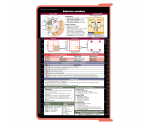  WhiteCoat Clipboard® - Coral Edición médica