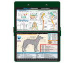 WhiteCoat Clipboard - Green Canine Edition