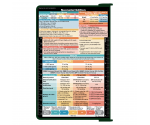WhiteCoat Clipboard® - Green Neonatal Edition
