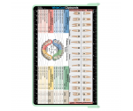 WhiteCoat Clipboard® - Mint Dental Edition