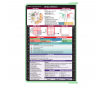 WhiteCoat Clipboard® - Mint Medical Edition