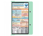 WhiteCoat Clipboard® - Mint Neonatal Edition