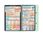 WhiteCoat Clipboard® - Mint Neonatal Edition
