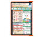 WhiteCoat Clipboard® - Orange Nursing Edition