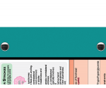 WhiteCoat Clipboard® - Teal Neurology Edition