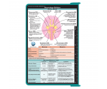 WhiteCoat Clipboard® - Teal Neurology Edition