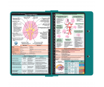 WhiteCoat Clipboard® - Teal Neurology Edition