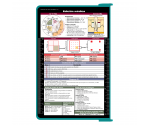  WhiteCoat Clipboard® - Teal Edición médica