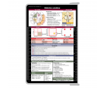  WhiteCoat Clipboard® - White Edición médica