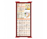 WhiteCoat Clipboard® Trifold - Red Cardiology Edition
