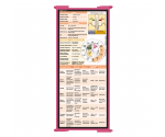 WhiteCoat Clipboard® Trifold - Pink Cardiology Edition