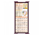 WhiteCoat Clipboard® Trifold - Wine Cardiology Edition