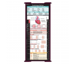 WhiteCoat Clipboard® Trifold - Wine Cardiology Edition