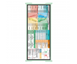 WhiteCoat Clipboard® Trifold - Mint Veterinary Medicine Edition