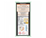 WhiteCoat Clipboard® Trifold - Mint Medical Edition