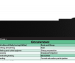 WhiteCoat Clipboard® Vertical - Blackout Occupational Therapy Edition