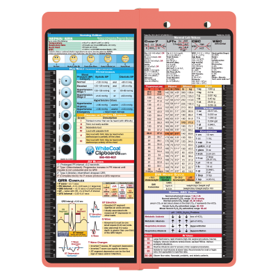 WhiteCoat Clipboard® Vertical - Coral Nursing Edition