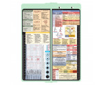WhiteCoat Clipboard® Vertical - Mint Pediatric Edition