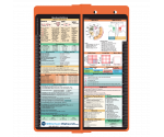 WhiteCoat Clipboard - Vertical - Orange Medical Edition