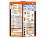 WhiteCoat Clipboard® Vertical - Orange Nursing Edition