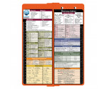 WhiteCoat Clipboard® - Vertical - Orange Pharmacy Edition