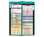 WhiteCoat Clipboard® Vertical - Teal Pharmacy Edition